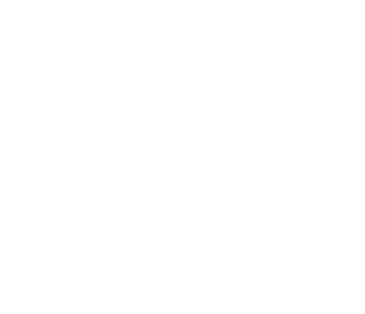 Bihl+Wiedemann