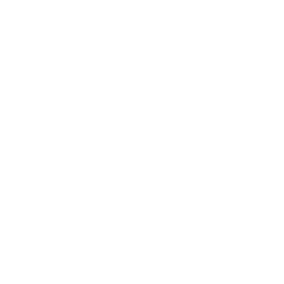 LSDM